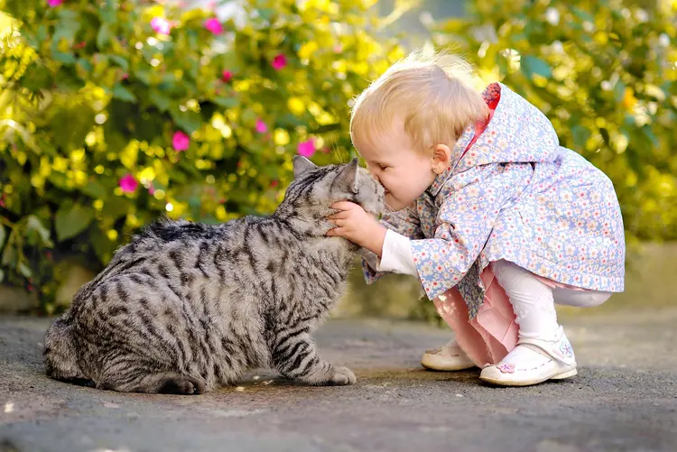 Kind kuschelt mit Katze