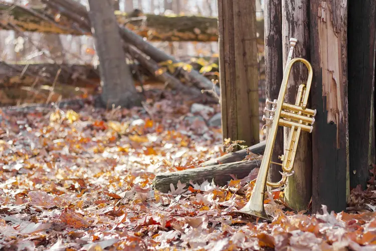 Herbstmusik