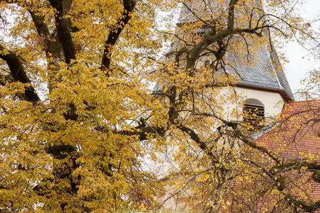 Postkarte Herbst