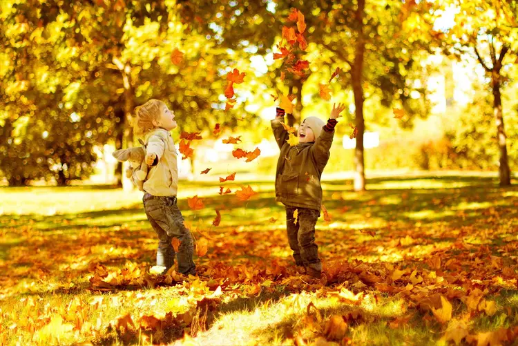 Goldener Herbst Spielende Kinder im Herbst